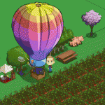 FarmVille Hot Air Balloon